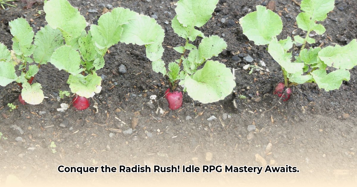 radish-rush